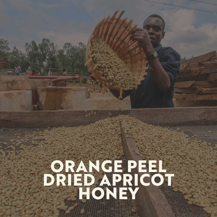 Ethiopia - Guji Oakato (Espresso Roast)