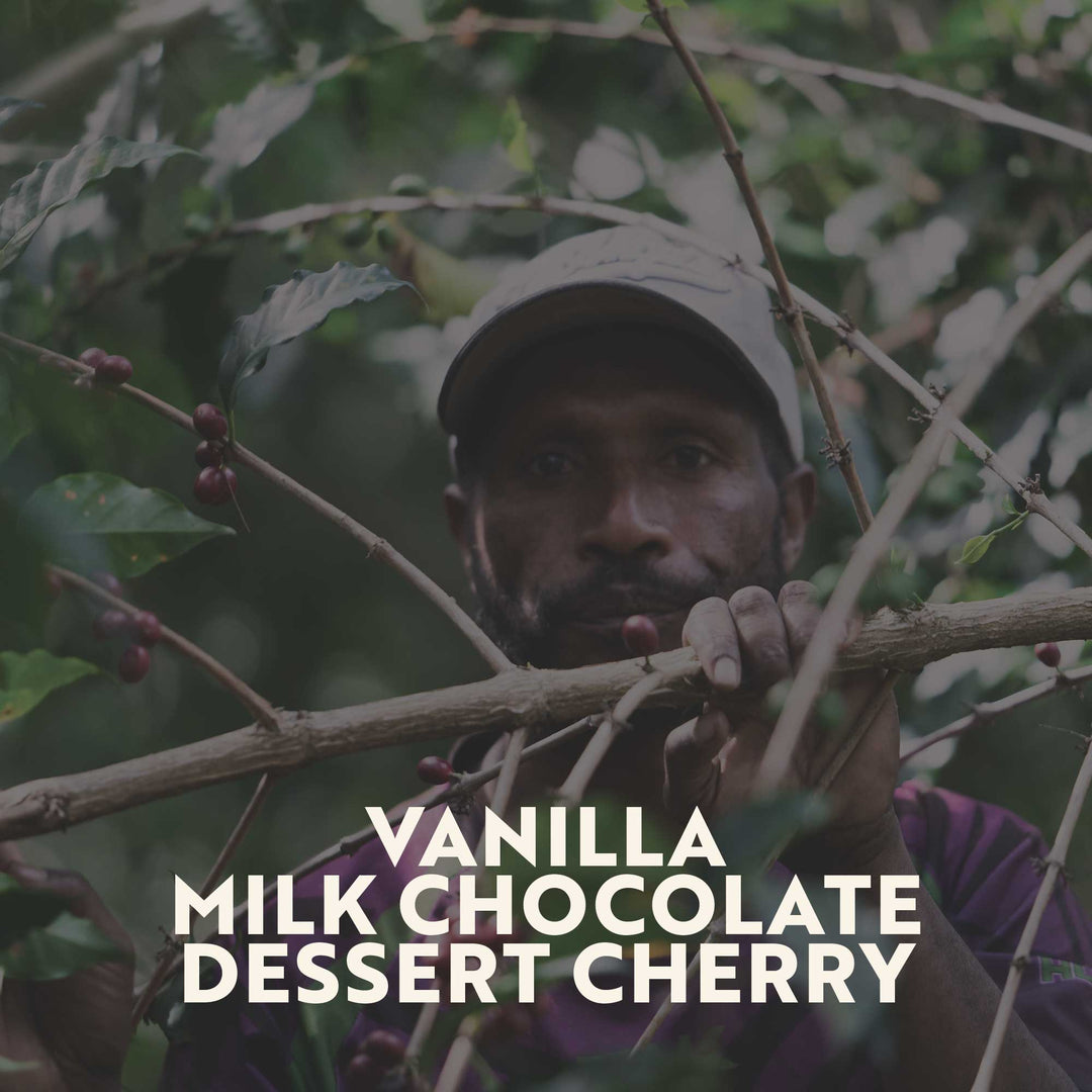 PNG - Okalu (Espresso Roast)