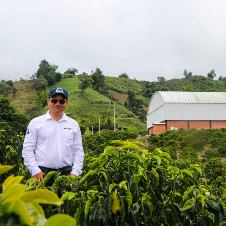Colombia - Wilton Benitez - Granja Paraiso 92