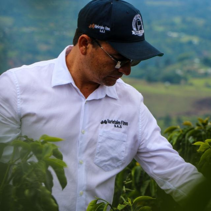 Colombia - Wilton Benitez - Granja Paraiso 92