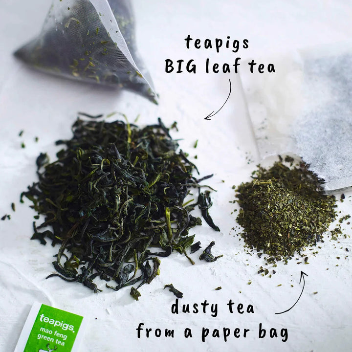 teapigs - mao feng green tea - 50 biodegradable bags